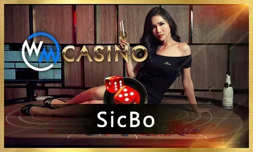 Super Ace Casino Games